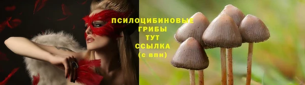 каннабис Уссурийск