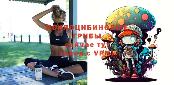 стаф Козловка