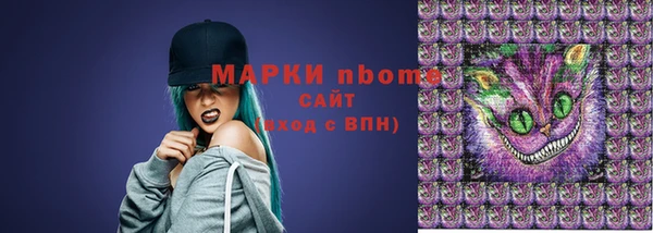 стаф Козловка