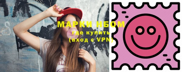 стаф Козловка